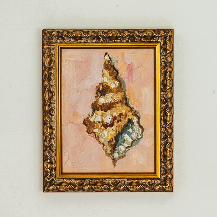 Contemporary Shell