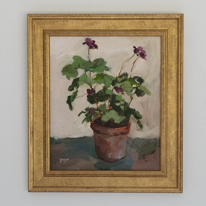 Potted Geranium