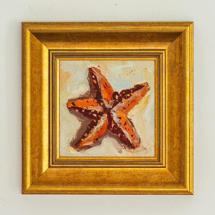 Contemporary Starfish